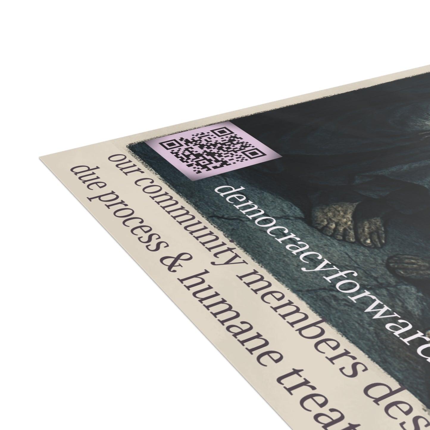 Activist Postcard Bundles - Inhumane Treatment of Immigrants Awareness