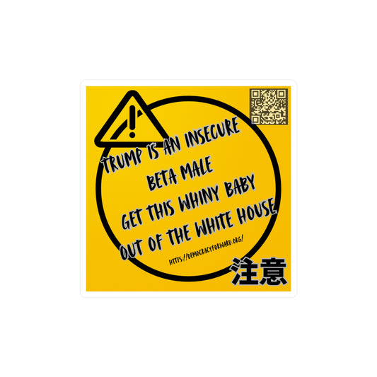 Bold Political Vinyl Decals, Car Stickers, Funny Decal for Home & Office, Political Humor, Gift for Activists, Sleek Wall Decor