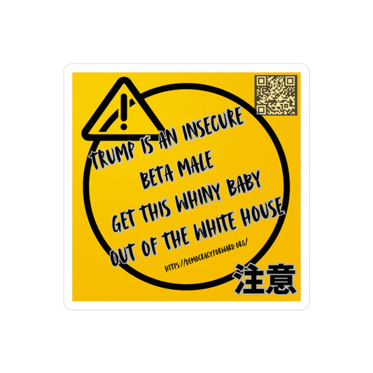 Bold Political Vinyl Decals, Car Stickers, Funny Decal for Home & Office, Political Humor, Gift for Activists, Sleek Wall Decor