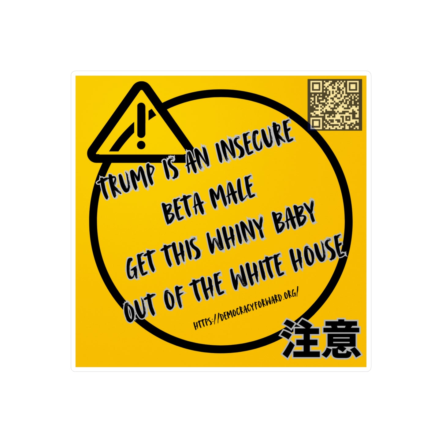 Bold Political Vinyl Decals, Car Stickers, Funny Decal for Home & Office, Political Humor, Gift for Activists, Sleek Wall Decor